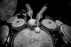 12717280_227745217569898_3381438236577427732_n