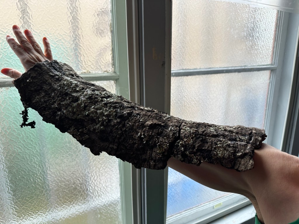 In Preparation for Disappearances to&nbsp;Come