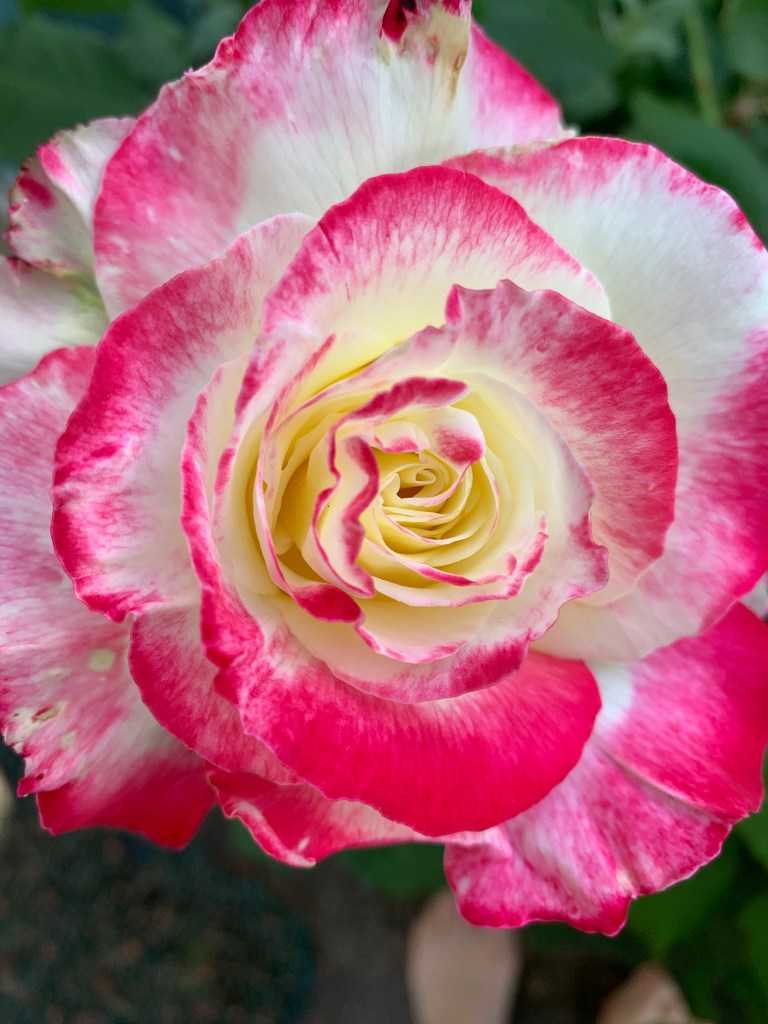 2026 | Spring&nbsp;Events