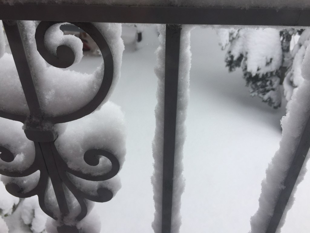 2025 | Winter Events