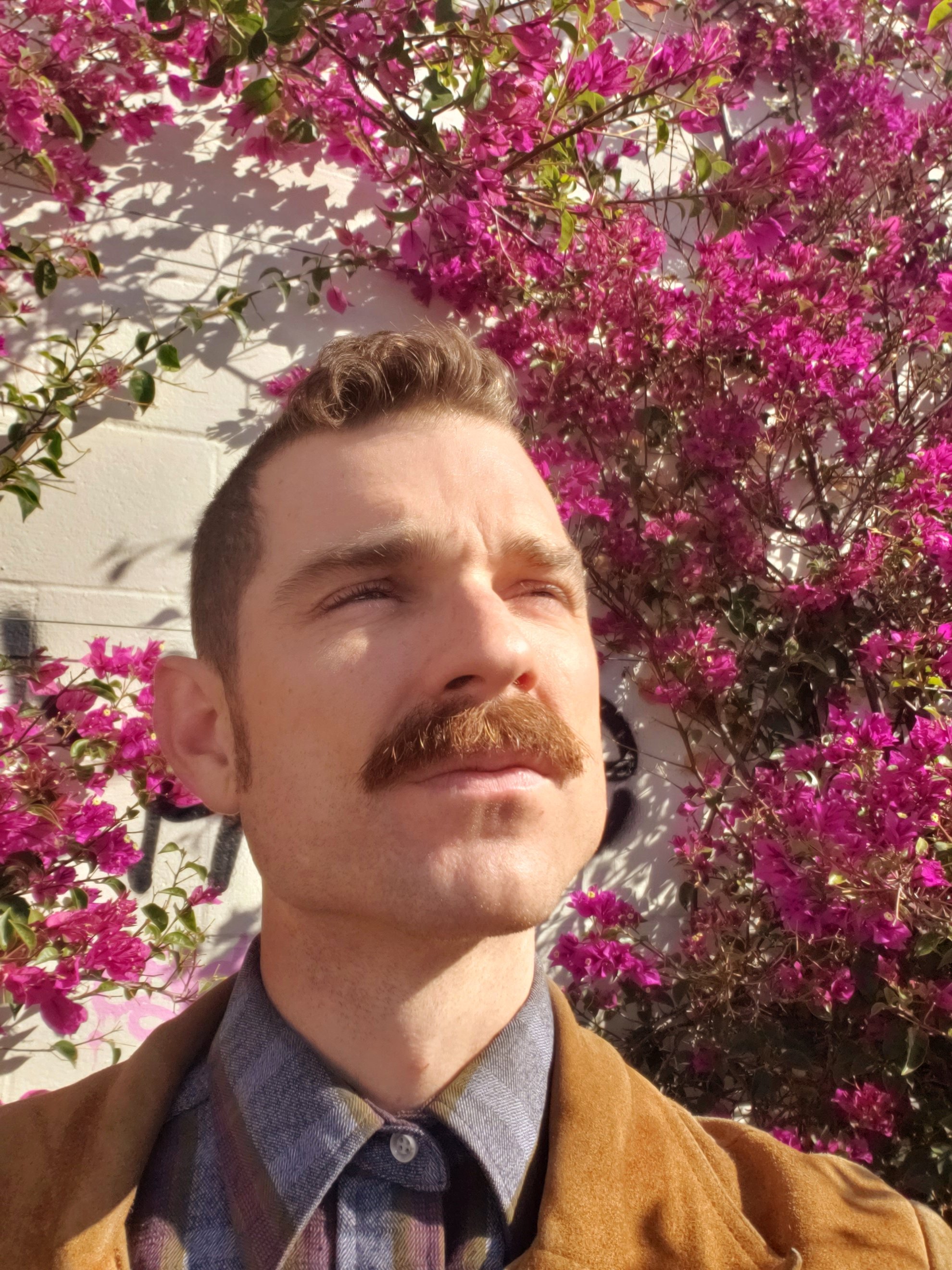 image of Wilson Shook LA improviers in front of pink flowers