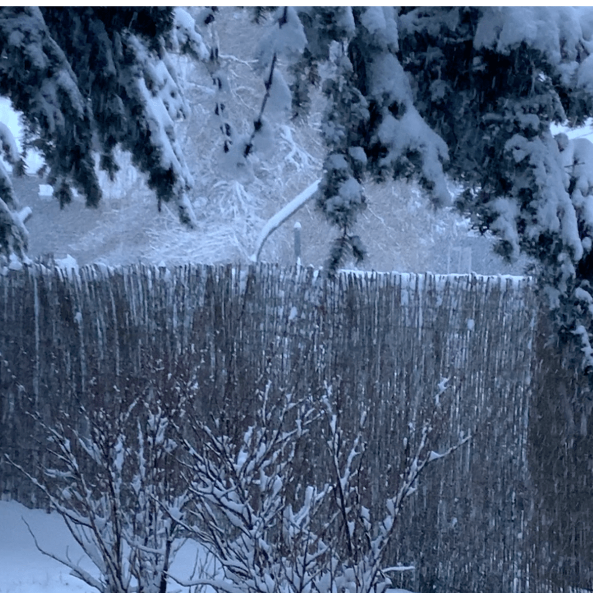 2026 | Winter&nbsp;Events