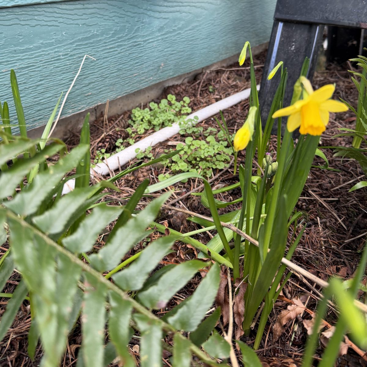 2026 | Spring&nbsp;Events