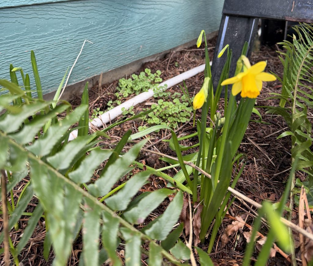 2026 | Spring&nbsp;Events