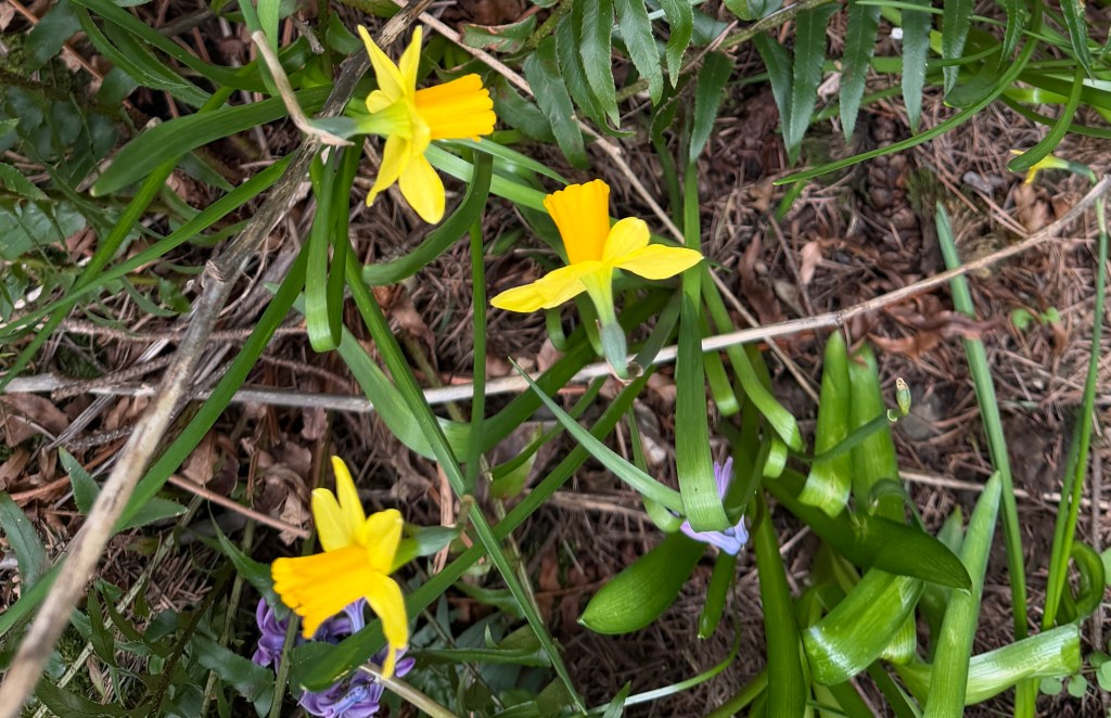 2026 | Spring&nbsp;Events